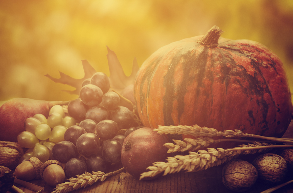 Thanksgiving Holiday Schedule